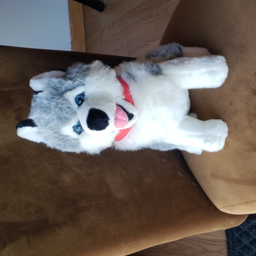 Alaskan 13" Hucky Artic Circle Plush New!